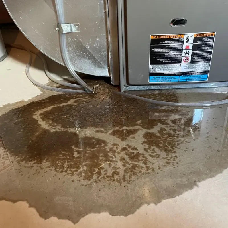 Pipe Burst and Leak Restoration in Windber, PA